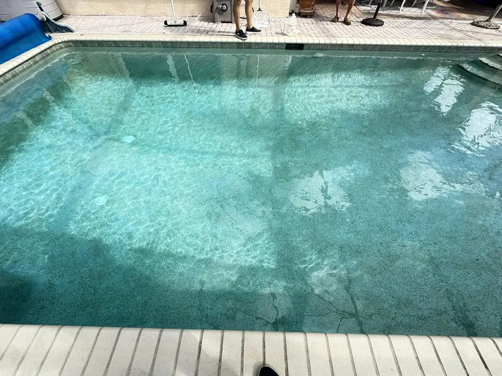 Large rectangular pool with entry steps and polished water clarity after filter cleaning