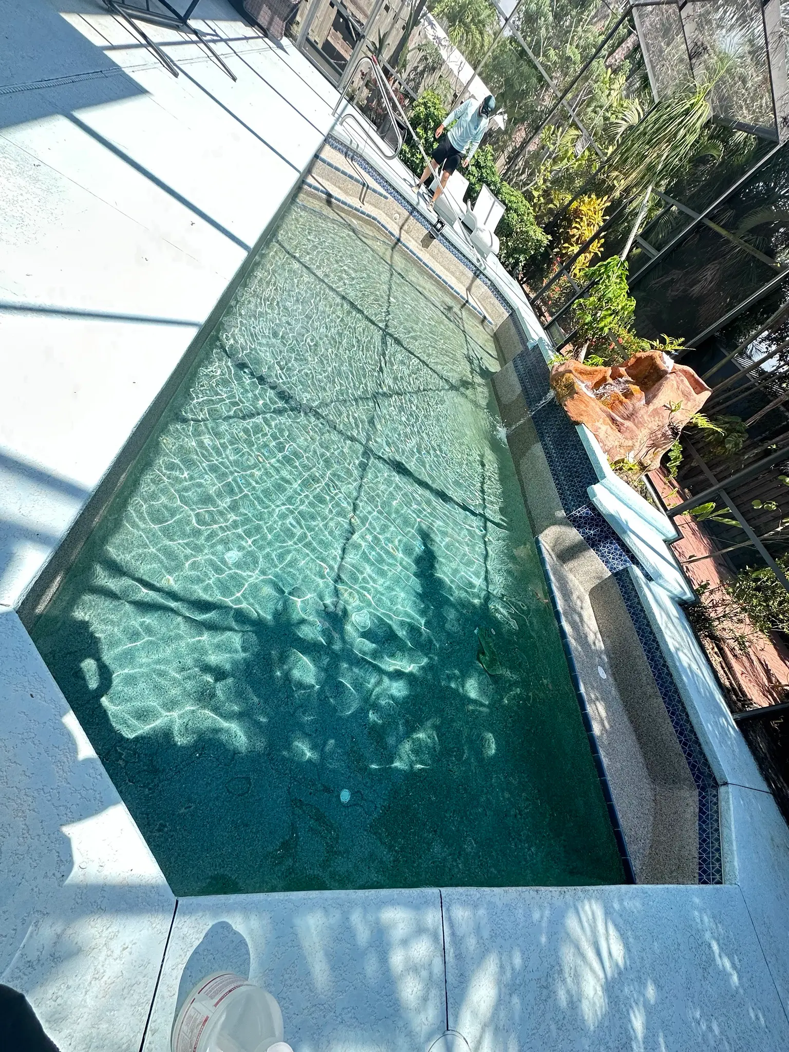 Screened pool framed by palm garden landscaping in Bonita Springs, FL